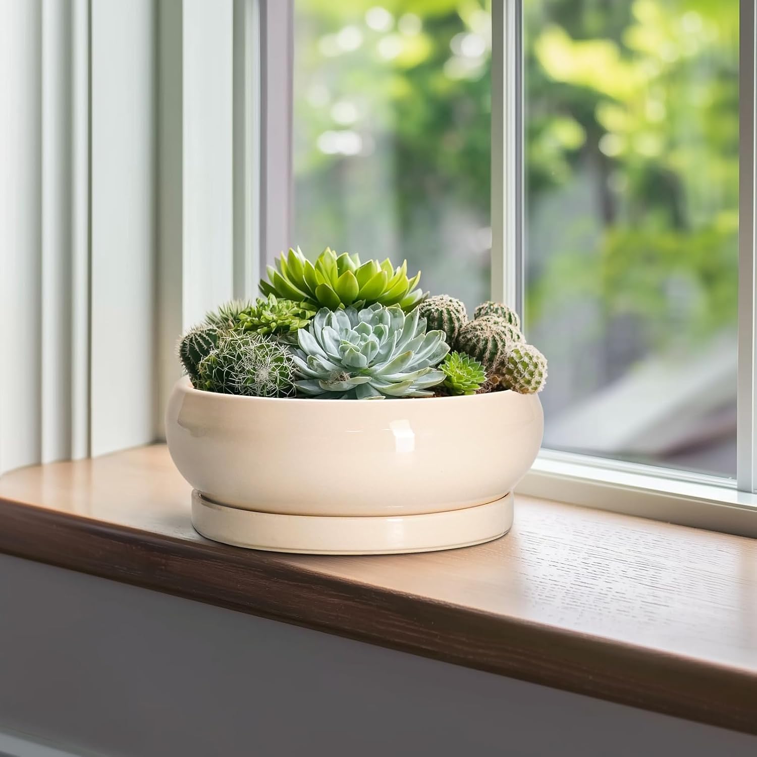 Bonsai Pots - 10 Inch Ceramic Succulent Planters Indoor Outdoor, Bonsai Planters with Drainage Hole and Saucer, Round Shallow Planter, Bowl Planter, House Decor, Gifts for Plant Lover, Beige