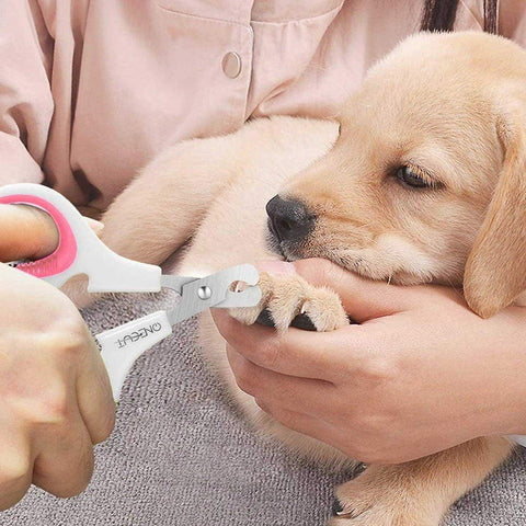 Pet Nail Clippers, Cat & Kitten Claw Nail Clipper Safe Sharp Trimmer