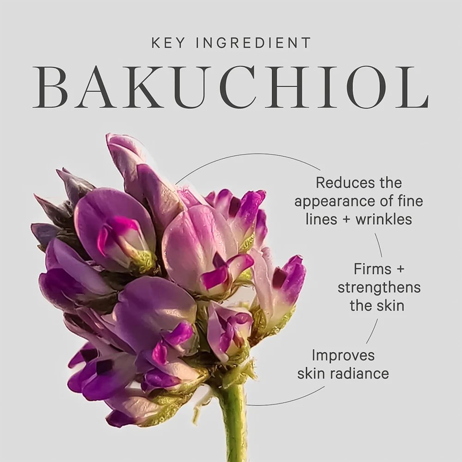 KORA Organics Plant Stem Cell Retinol Alternative Bakuchiol Serum for Face