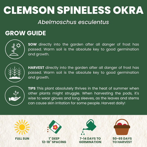 Okra Clemson Spineless – 225 Premium Seeds for Planting – High-Yield, Tender Heirloom Pods for the 2026 Season – 15 Gram Pouch