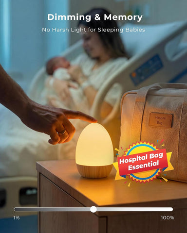 Night Light for Baby Nursery, Rechargeable Touch Egg Light with 17 Color Modes, Stepless Dimmable Baby Night Light for Breastfeeding & Kids Bedroom (Beech-1P)