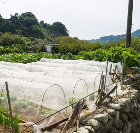 Garden Netting Pest Barrier: 4'x10' Fine Bug Netting