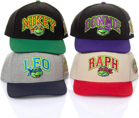 Nickelodeon Mens' Teenage Mutant Ninja Turtles Embroidered Classic Precurve Snapback Hat