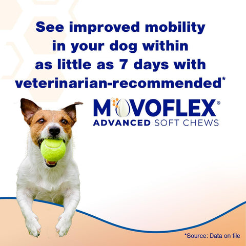 MOVOFLEX Advanced Soft Chews Hip and Joint Support Supplement for Medium Dogs -120 Count by Virbac