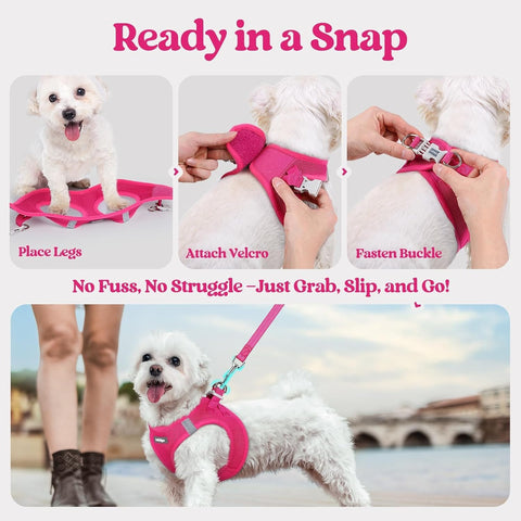rabbitgoo Dog Harness Small Sized and Leash Set, Step-in Puppy Pet Vest