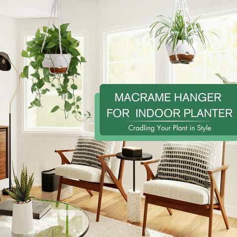 8 Inch Self Watering Hanging Plant Pot with Drainage Holes for Indoor