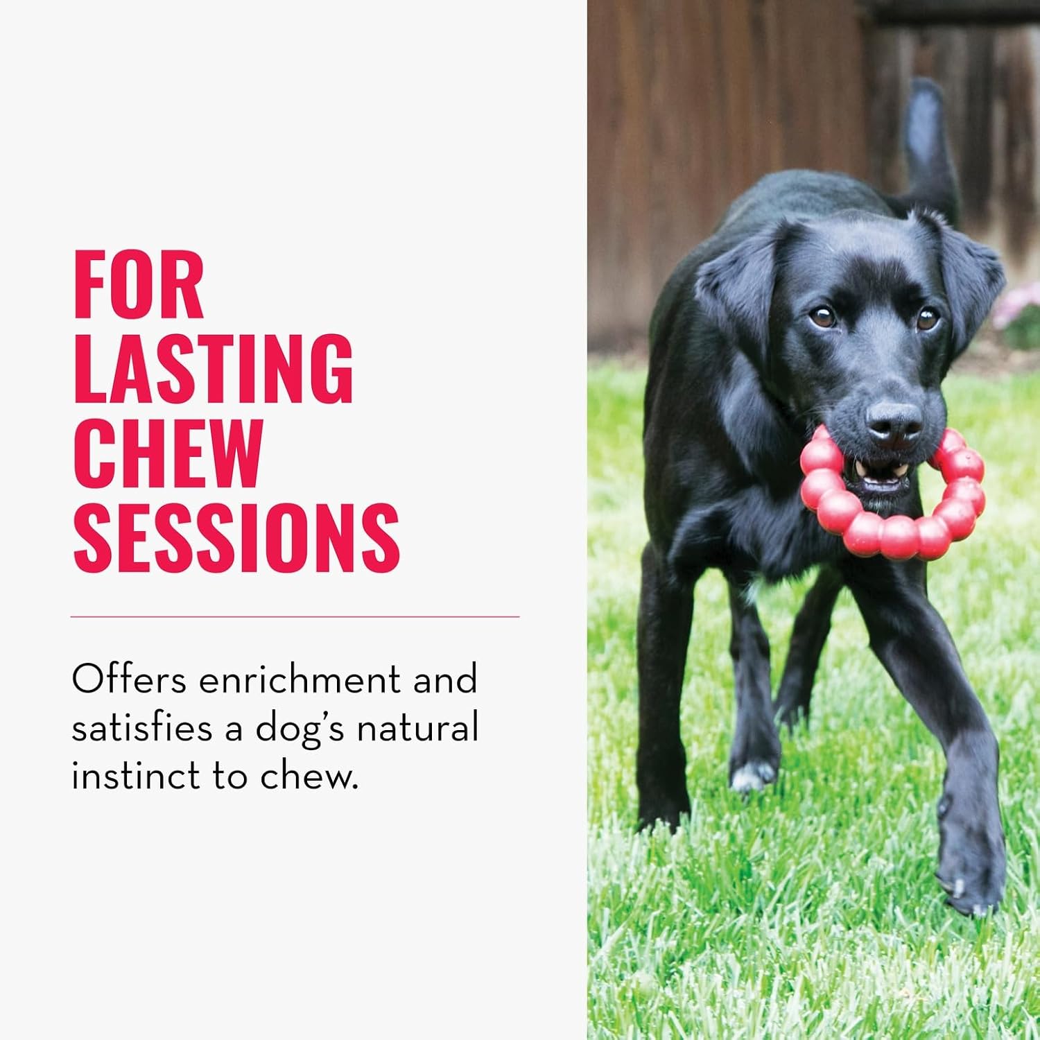 KONG Ring, Natural Rubber Chew Toy for Dental Health, for Extra Large Dogs