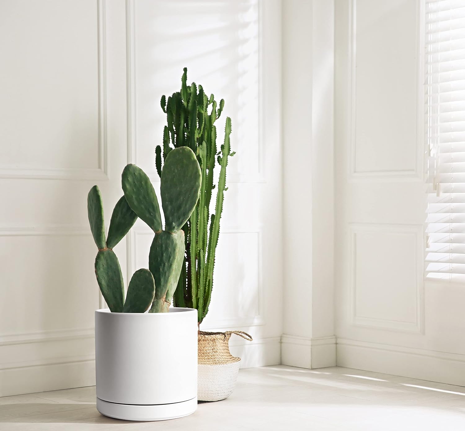 D'vine Dev 12 Inch Ceramic Planter Pot, White, 94-O-F-1