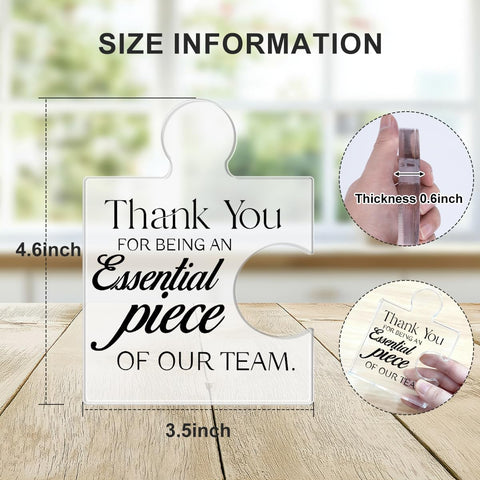 Team Thank You Appreciation Gifts for Employees Coworkers Colleagues