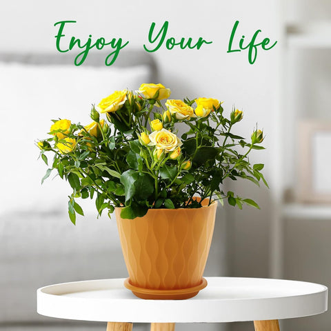YNNICO 6 inch Plant Pots 5 Pack Plastic Planters with Drainage & Saucers