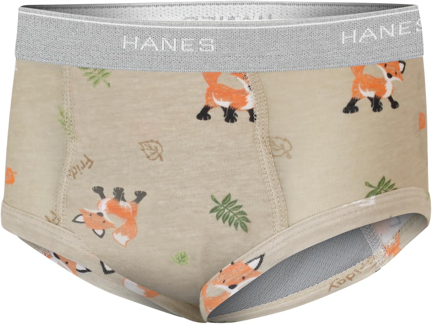 Hanes Boys' Potty Training Underwear, Light Leaks Toddler Cotton Briefs and Boxer Briefs, Multi-pack