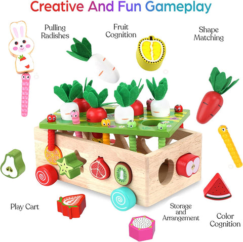 Toddlers Montessori Wooden Educational Toys for Boys Girls Age 1-3 Year Old