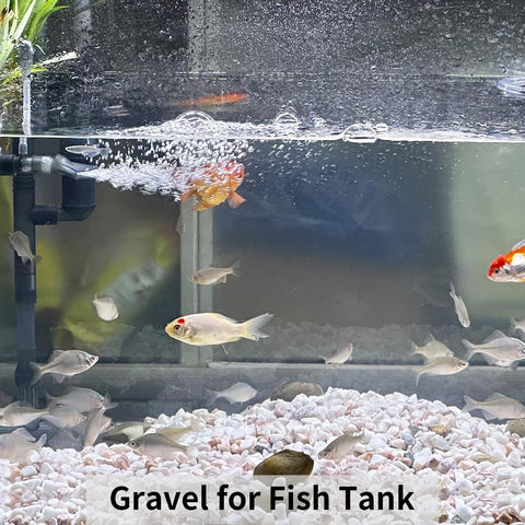 FANTIAN 2 lbs White Rocks for Plants, 3/8 Inch Aquarium Gravel, Pea Gravel