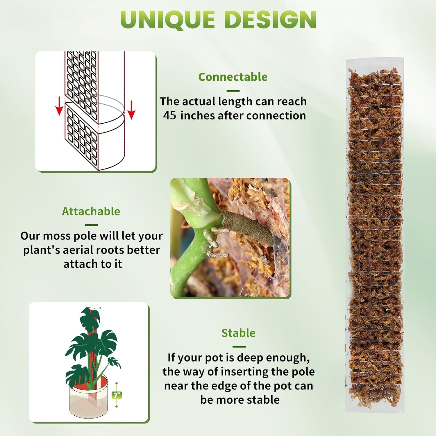 EOX Plastic Moss Pole for Monstera and Climbing Plants, 24-Inch, 2-Pack