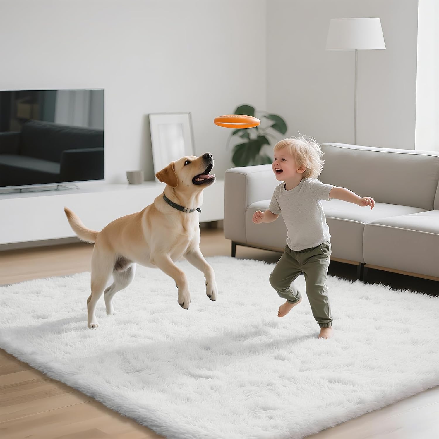 Shag Area Rugs for Bedroom Living Room,6X9 Ultra Soft White Fluffy Area Rugs for Dorm,Indoor Carpet Plush Rugs for Home Decor,White