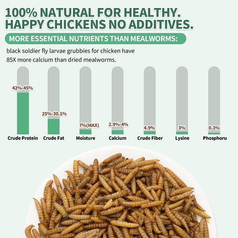 10LB Dried Black Soldier Fly Larvae for Chickens,High Calcium,Non-GMO,60-100X More Calcium Than Mealworms,Treat for Laying Hen,Ducks,Wild Birds,Turtles