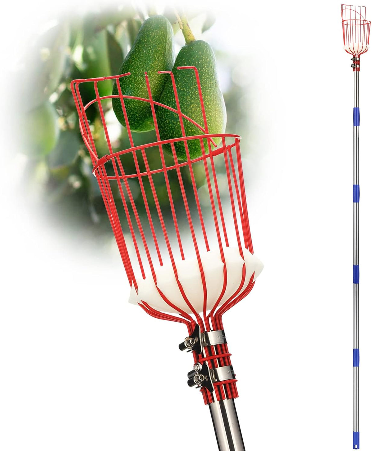 DonSail Pomelo Fruit Picker Pole Tool with Basket Telescoping Long Handle, 35-95 Inch Adjustable Orange Apple Picker Pole Tool with Basket for Avocado Acorn Lemon Pear Mango Tree Picker