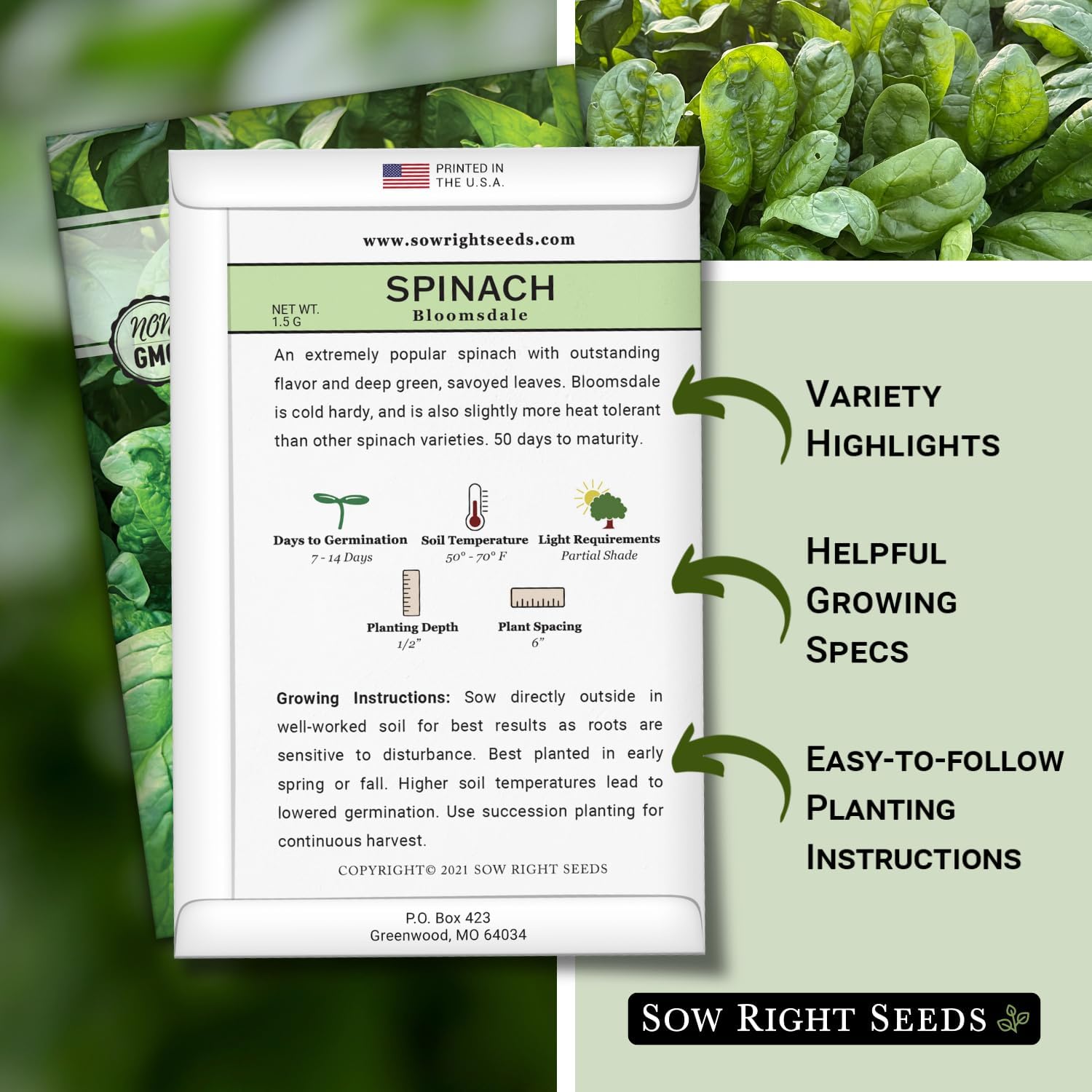 Sow Right Seeds- Bloomsdale Spinach Seed for Planting Your Vegetable Garden