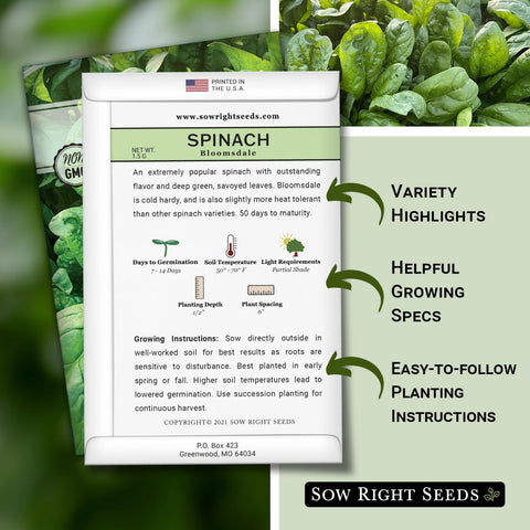 Sow Right Seeds- Bloomsdale Spinach Seed for Planting Your Vegetable Garden