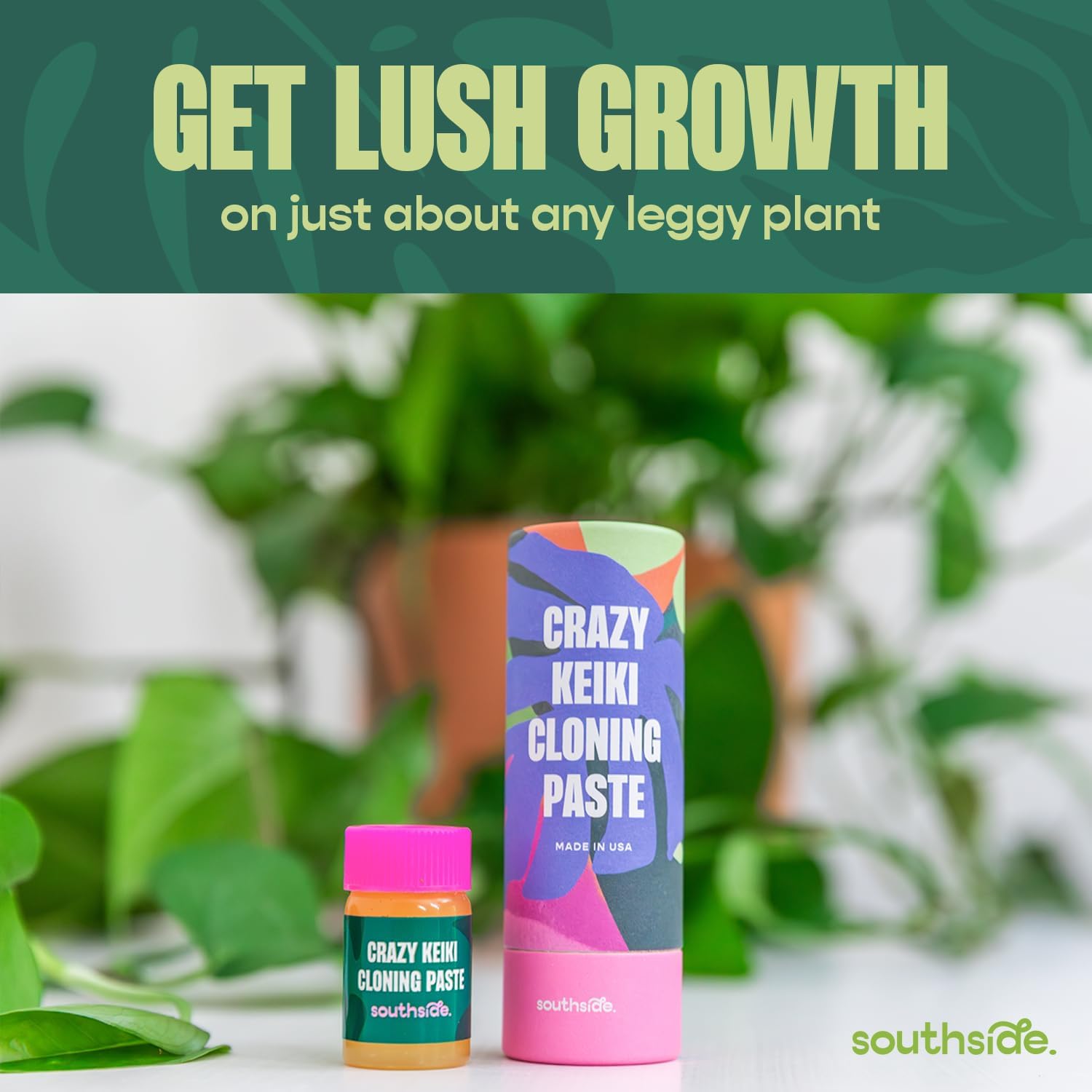 Crazy Keiki Cloning Paste by Southside Plants – Sprout Leaves on Bare Branches with Natural Cytokinin, Hormones & Vitamins – Keiki Paste for Plants and Orchids – 0.25oz