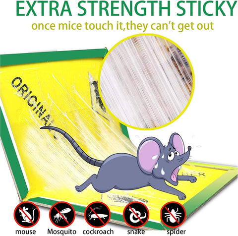 Ezoon 12 Pack Large Mouse Glue Traps with Enhanced Stickiness