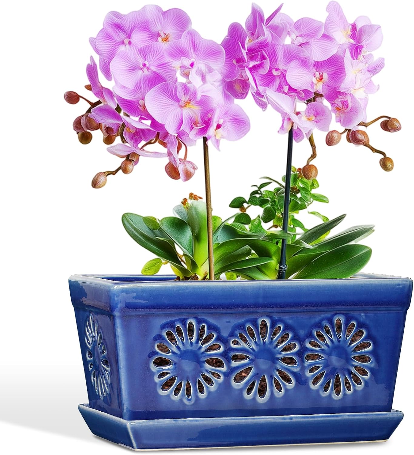 EFISPSS 10 Inch Orchid Pot, Ceramic Orchid Pots with Holes, Indoor Flower pots with Drainage and Saucer, Plant Pots Enhance Good Ventilation - Blue