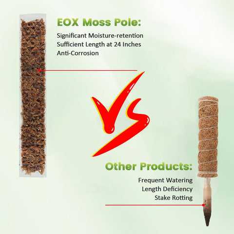 EOX Plastic Moss Pole for Monstera and Climbing Plants, 24-Inch, 2-Pack