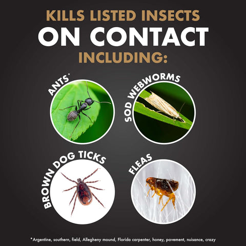 Spectracide Immunox Fungus Plus Insect Control for Lawns, 32 oz