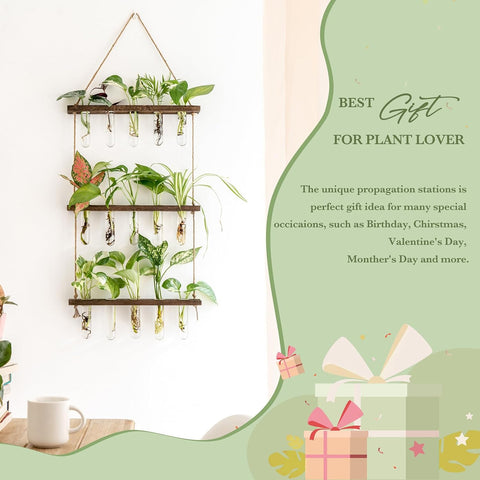 Mkono Plant Propagation Station, 3 Tier Brown Wall Hanging Vase Test Tubes