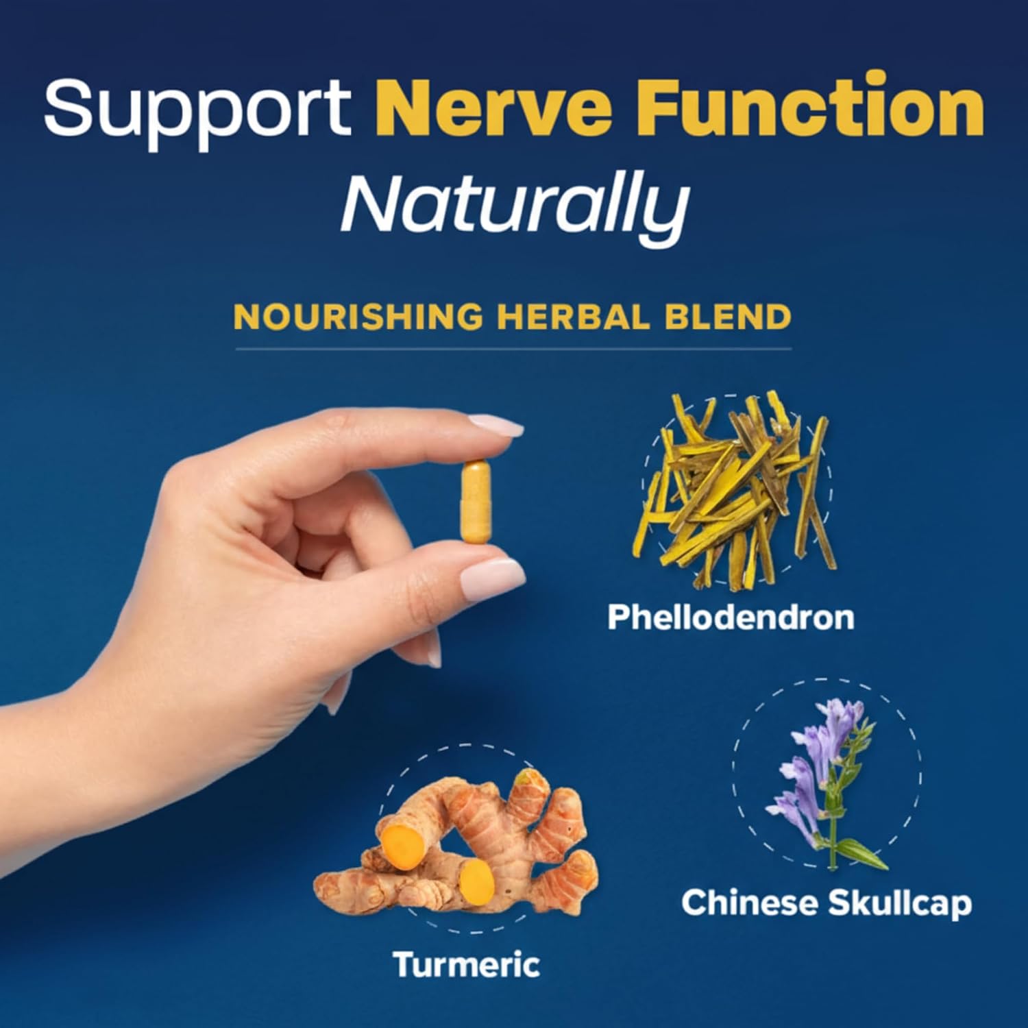 Redd Remedies Nerve Shield | Supports Healthy Nerve Structure | 60 Servings