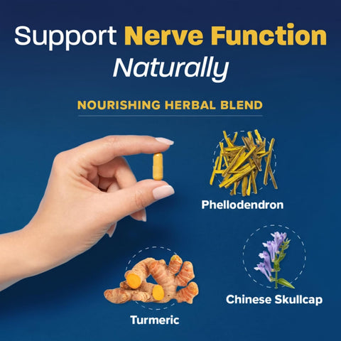 Redd Remedies Nerve Shield | Supports Healthy Nerve Structure | 60 Servings