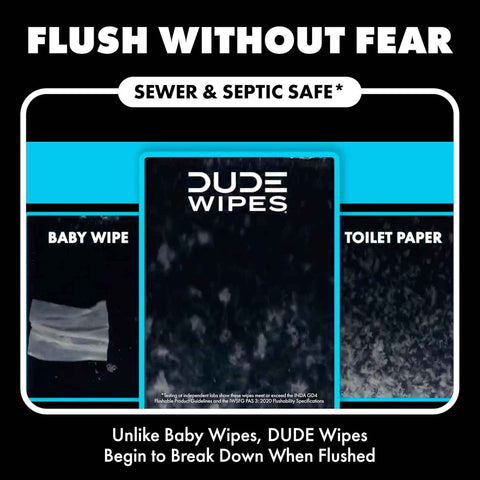 DUDE Wipes Odor Destroyer Adult Flushable Wet Wipes, Deodorizing, 144 Count