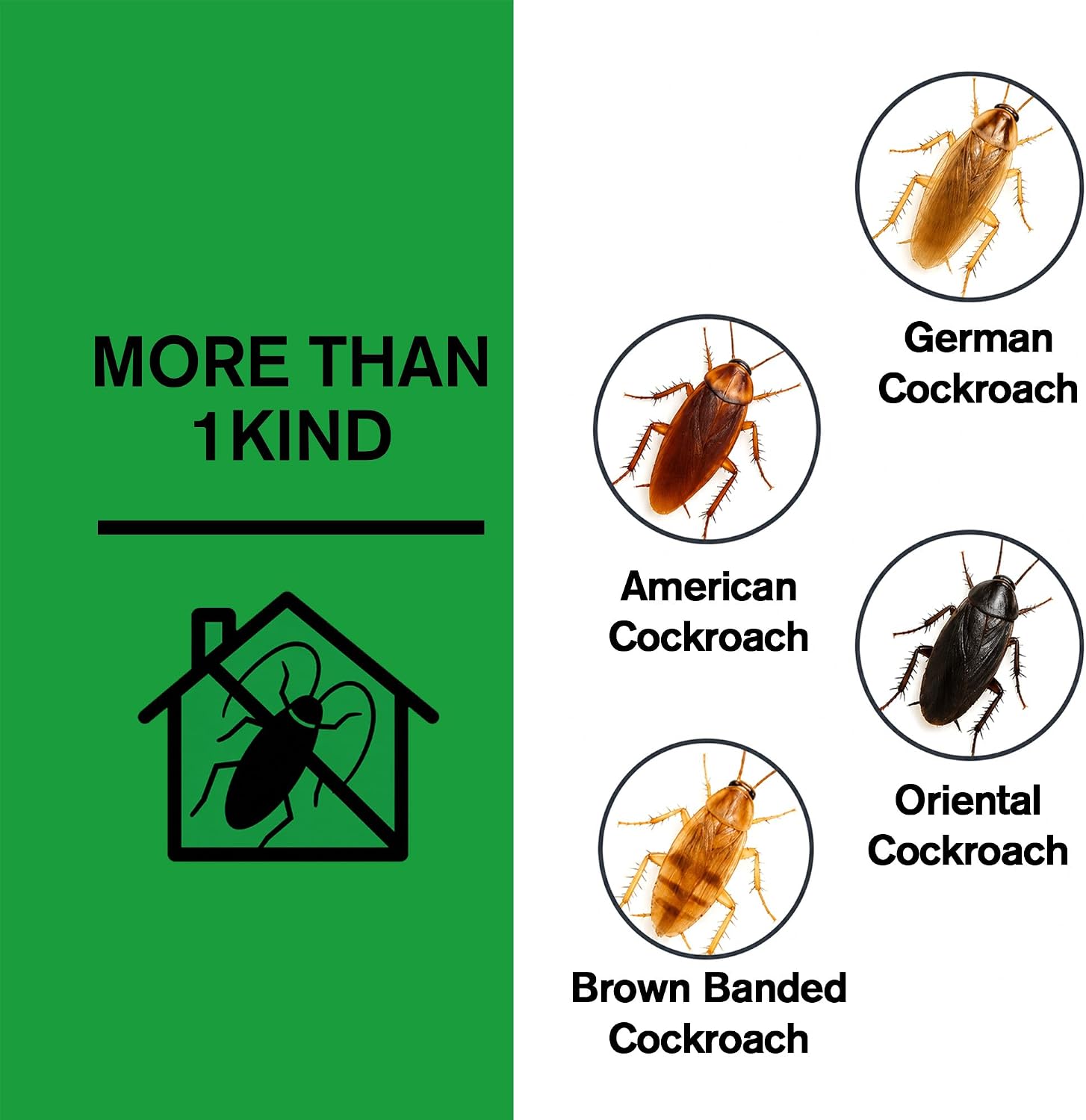 Roach Away Repellent for Indoor Home, Keep Cockroach Away-6P
