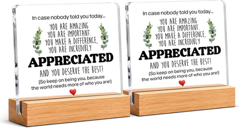Thank You & Appreciation Gifts Bulk for Coworkers Friends, Set of 2