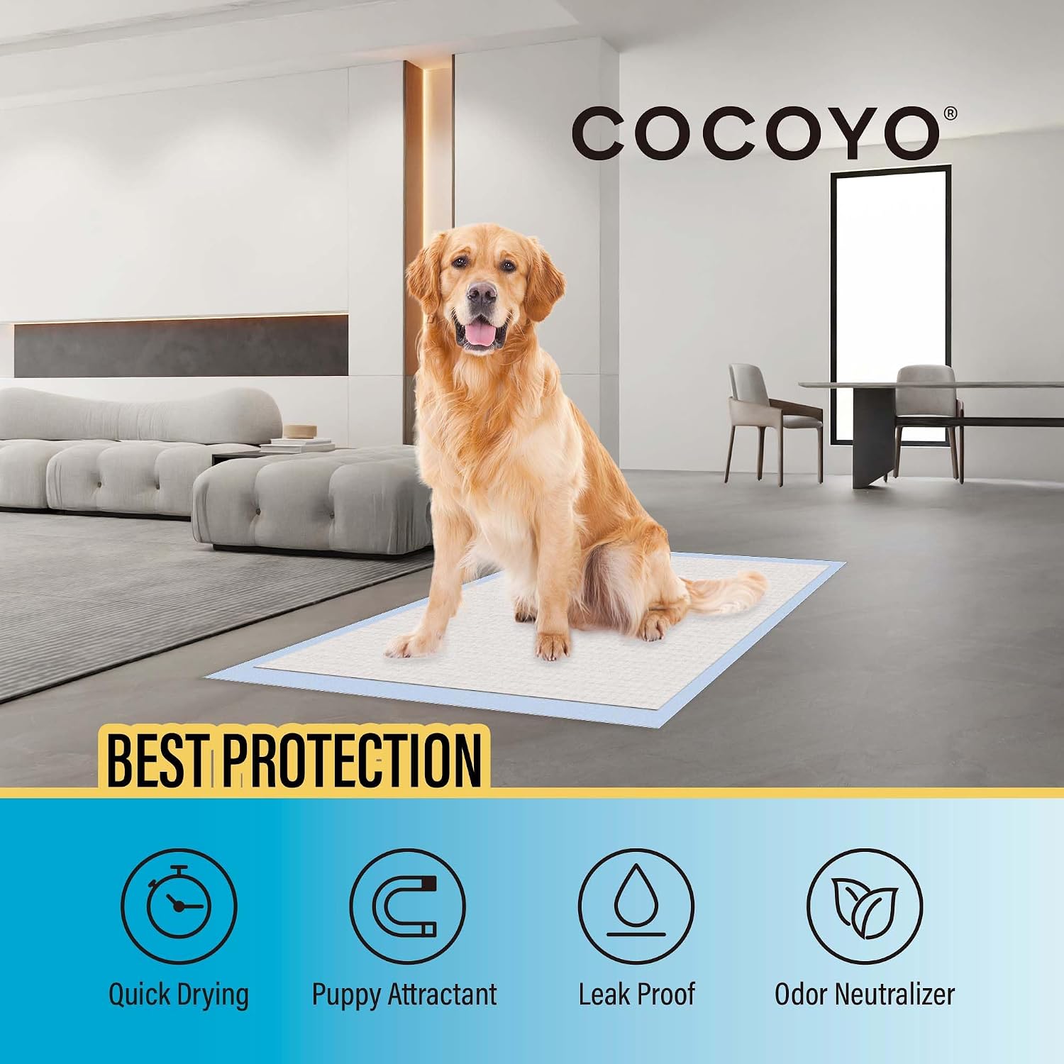 COCOYO Best Value 22"x22" Dog Training Pads 50 Count | Dog Pee | Super Absorbent Puppy Pads, White (Pack of 9)