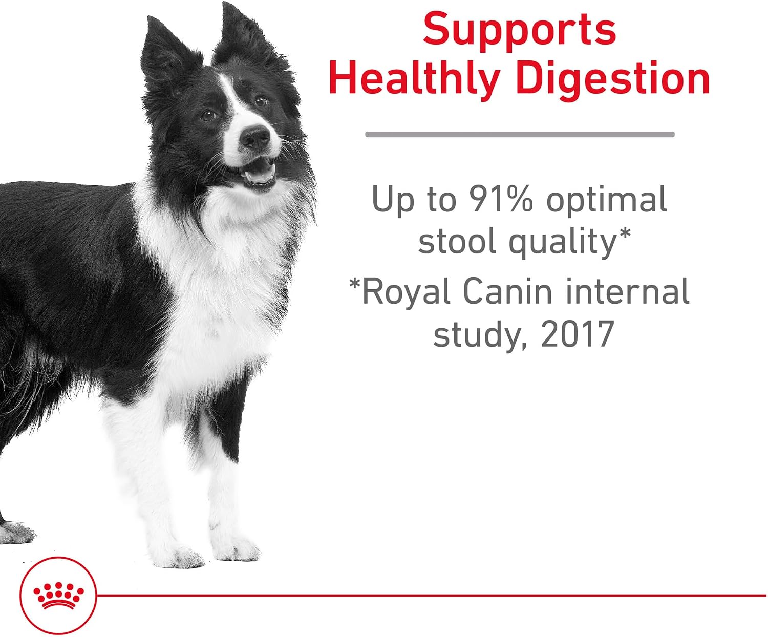 Royal Canin Canine Care Nutrition Medium Digestive Care Adult Dry Dog Food, 17 lb Bag