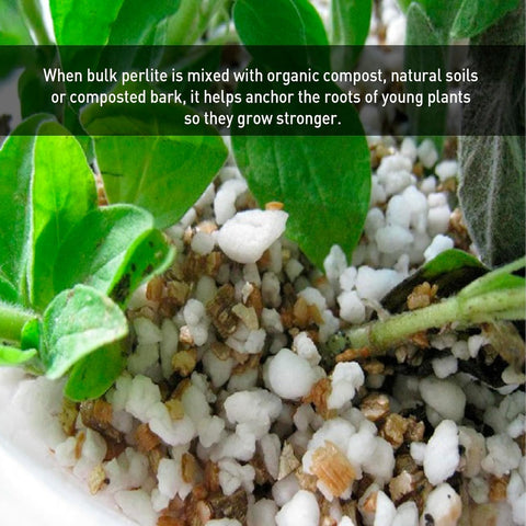 Norcal Perlite Horticultural Organic Certified Premium Screened Coarse Garden Indoor Outdoor Plants Soil and Drainage 4 Cubic Feet (103 Quarts) 1 Bag NEW