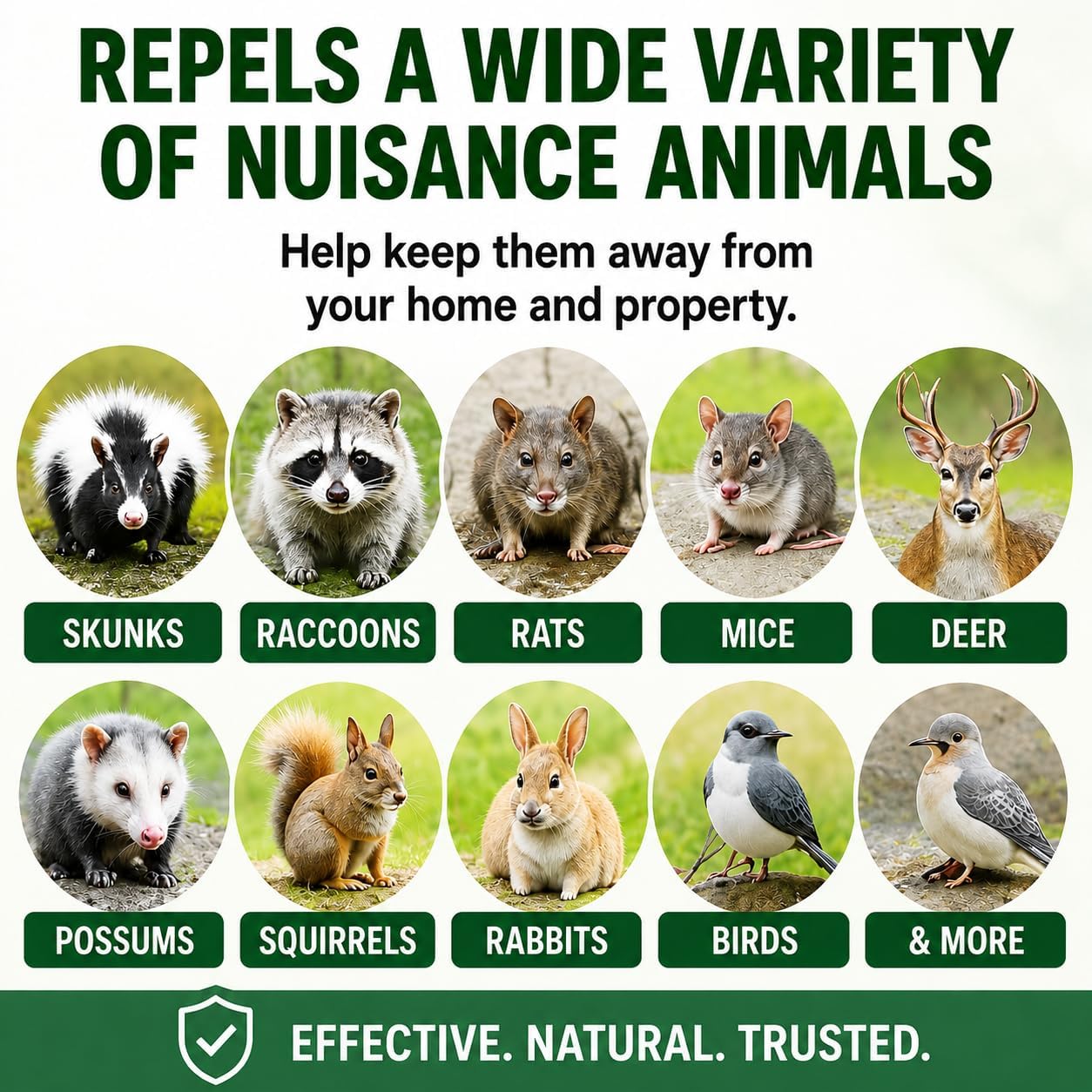 Natural Armor Animal & Rodent Repellent Spray - 128 Fl Oz Gallon Refill