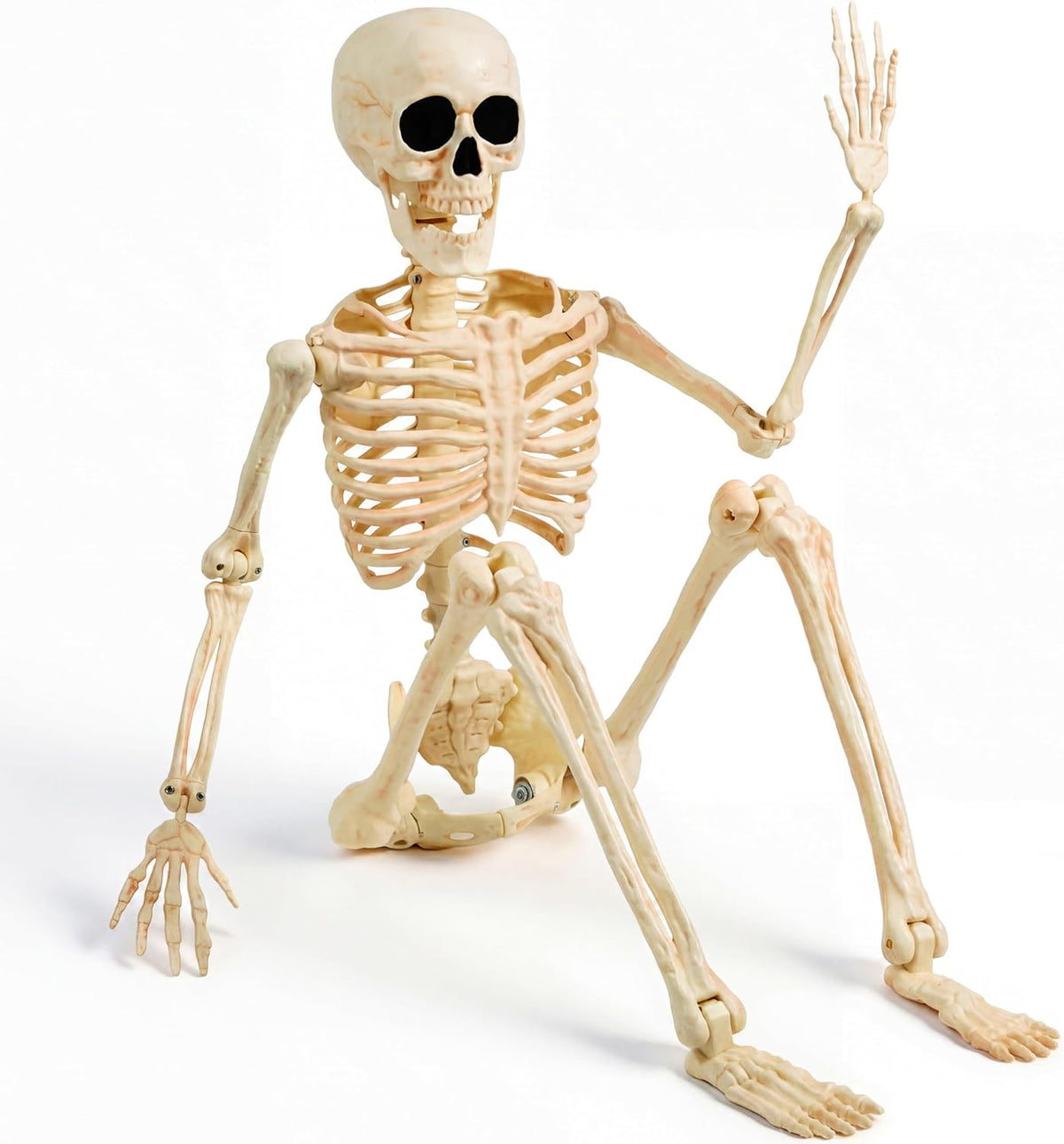 JOYIN 36" Halloween Skeleton Decor, 3FT Full Body Realistic Bones with Stayable Movable Joints, Posable Hanging Skeletons for Halloween Decoration, Yard, Graveyard, Haunted House, Spooky Scene Party