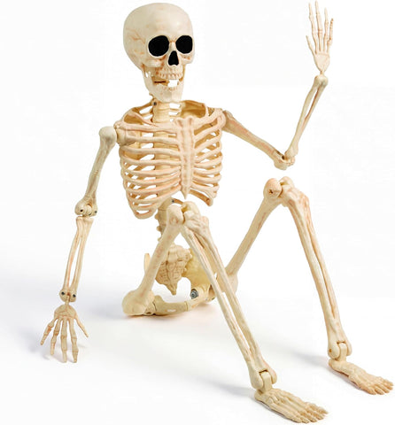 JOYIN 36" Halloween Skeleton Decor, 3FT Full Body Realistic Bones with Stayable Movable Joints, Posable Hanging Skeletons for Halloween Decoration, Yard, Graveyard, Haunted House, Spooky Scene Party