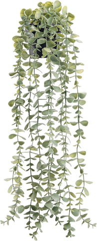 Der Rose 24" Fake Hanging Eucalyptus Plant for Bathroom Wall Art Decor