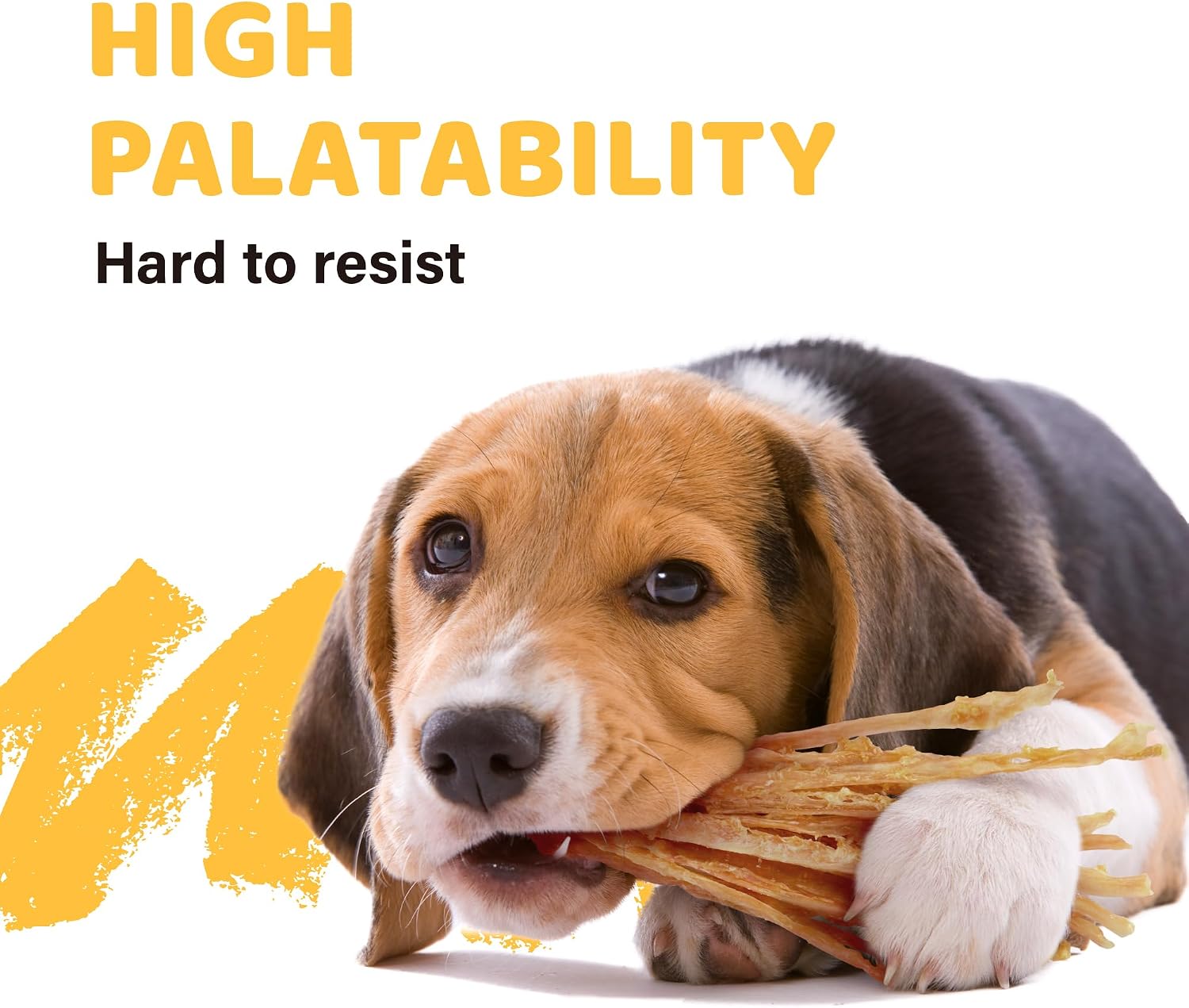 iPaw Turkey Tendon for Dogs, All Natural Human Grade Puppy Chew, Strips
