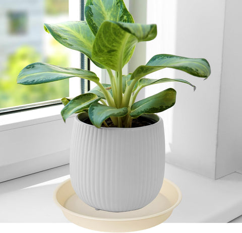 2 Pack of 8 inch Plant Saucer Clear, Heavy Duty Plastic Plant Water Tray 8 inch Round, Flower Plant Saucers for Indoors No Holes, Plant Dishes Saucer for Planter 7"/8" (8", Beige)