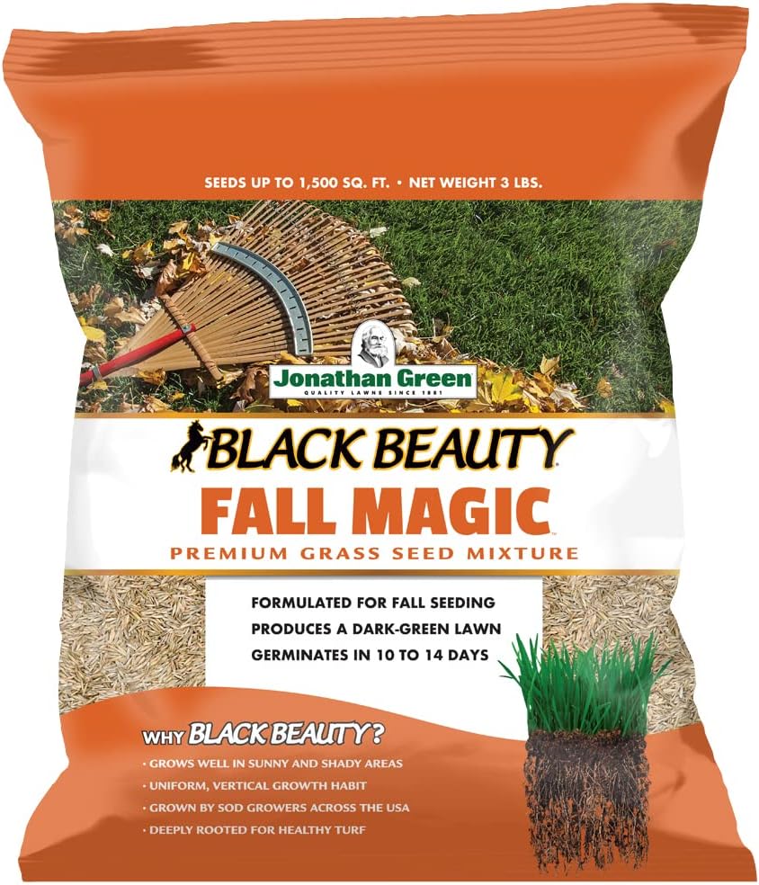 Jonathan Green Black Beauty Fall Magic Grass Seed - 25 lb