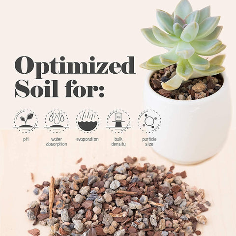 Bonsai Jack Succulent, Cactus and Bonsai Soil - Jacks Gritty Mix - 1 Gallon – Fast Draining – Fight Root Rot – Optimized pH …