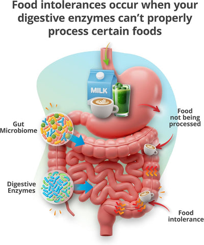 5Strands Food & Beverage Intolerance Test with 1030 Items Tested