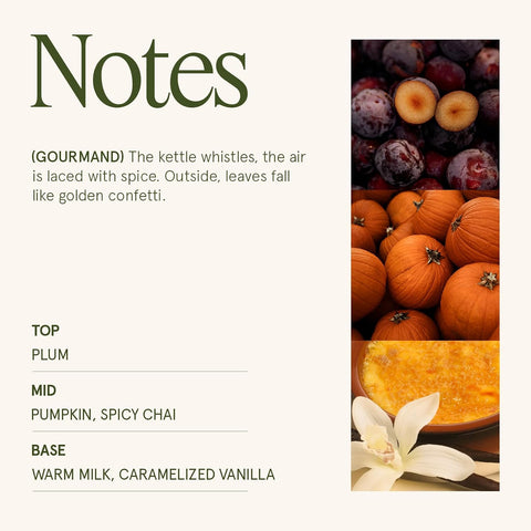 LA JOLIE MUSE Pumpkin Chai Scented Candles for Home,Natural Soy Wax 40Hrs