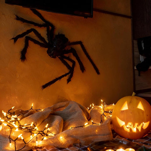 Colovis 6 Pcs Large Scary Halloween Spider Decorations for Outdoor, Yard