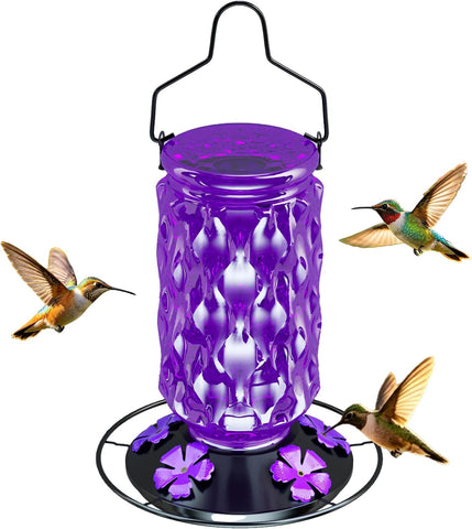 Glass Hummingbird Feeder for Outdoors,25 OZ Bird Nectar High Capacity