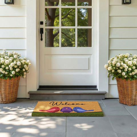 Barnyard Designs Natural Coco Coir Non-Slip Doormat (17x30, Spring Birds)